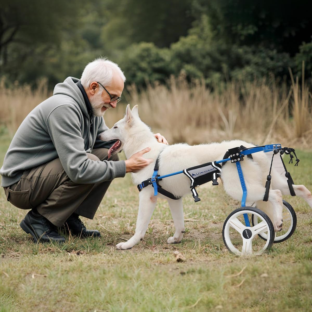Dog Wheelchair for Back Legs Large, Heavy Duty Wheelchair for Dogs, Adjustable Dog Carts with Wheels for Disabled Hind Legs, Solid Metal, 154lb Cap, with Protection Pads, Sling Lift (B-XXL)