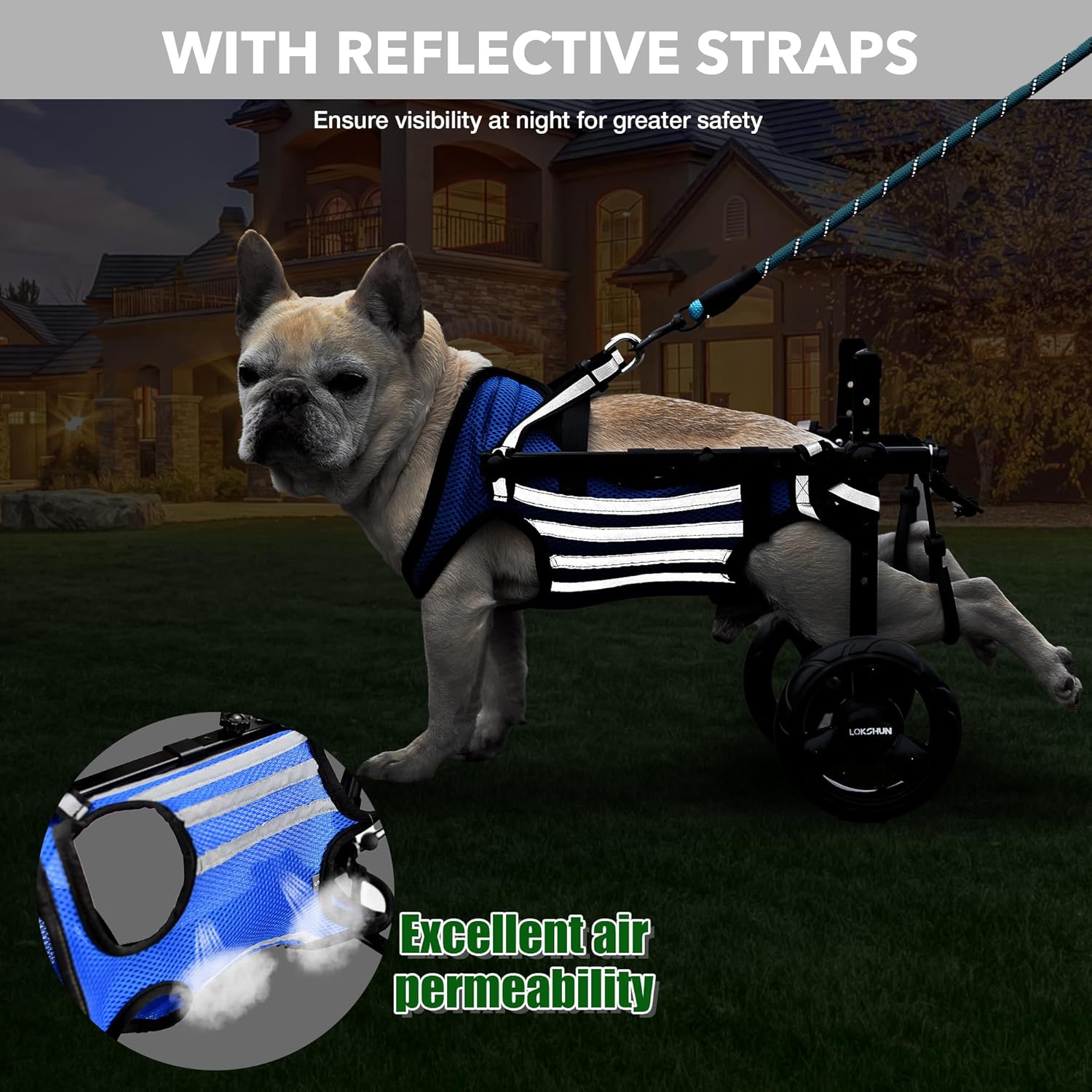2024 Upgraded Dog Wheelchair for Back Legs Small Wheelchair for Dogs with Disabled Hind Legs Walking Adjustable Dog Carts with Heavy Duty Wheels & Patented (XS)