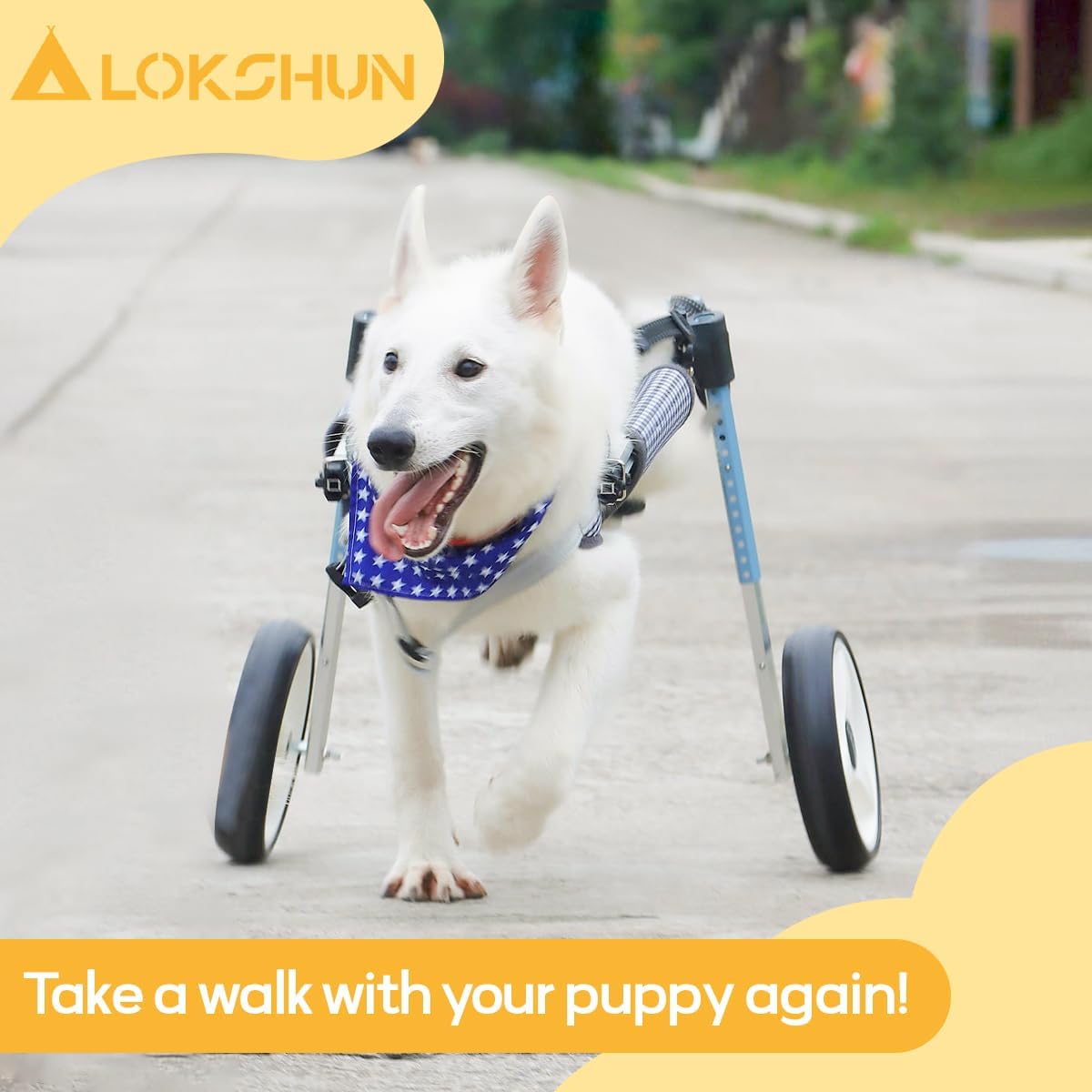 Large Dog Wheelchair for Back Legs with Multi-Function Pet Lift, Wheelchair for Dogs Thickened, Adjustable Back Leg Dogs Wheel Chair, Dog Carts with Wheels for Disabled Hind Legs (Grid-XXL)