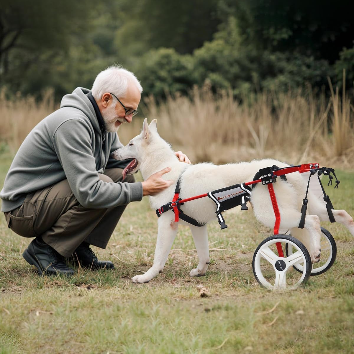 Dog Wheelchair for Back Legs Large, Heavy Duty Wheelchair for Dogs, Adjustable Dog Carts with Wheels for Disabled Hind Legs, Solid Metal, 154lb Cap, with Protection Pads, Sling Lift (R-XXL)
